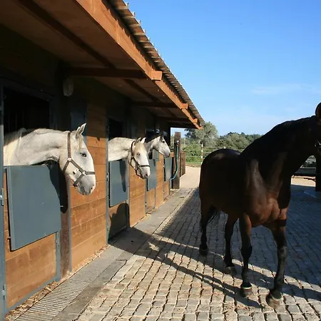 Casas Amoreiras * Aldeia do Meco