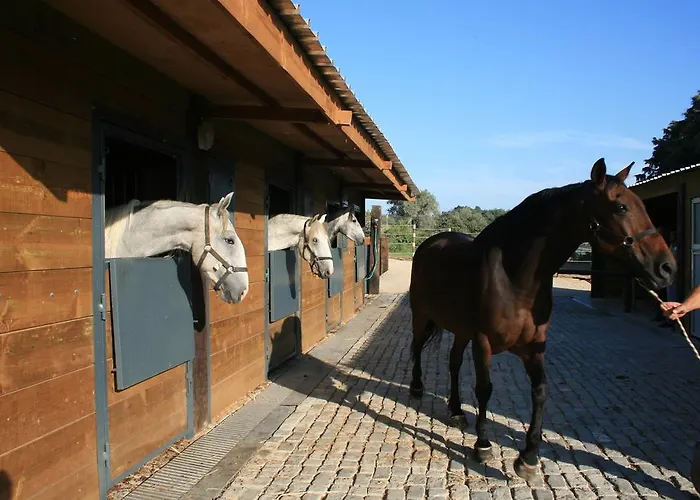 Casas Amoreiras * Aldeia do Meco